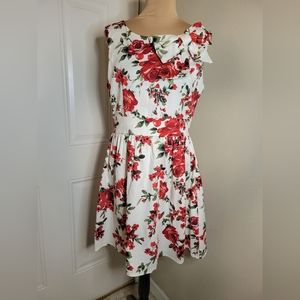 IXIA Pinup Dress